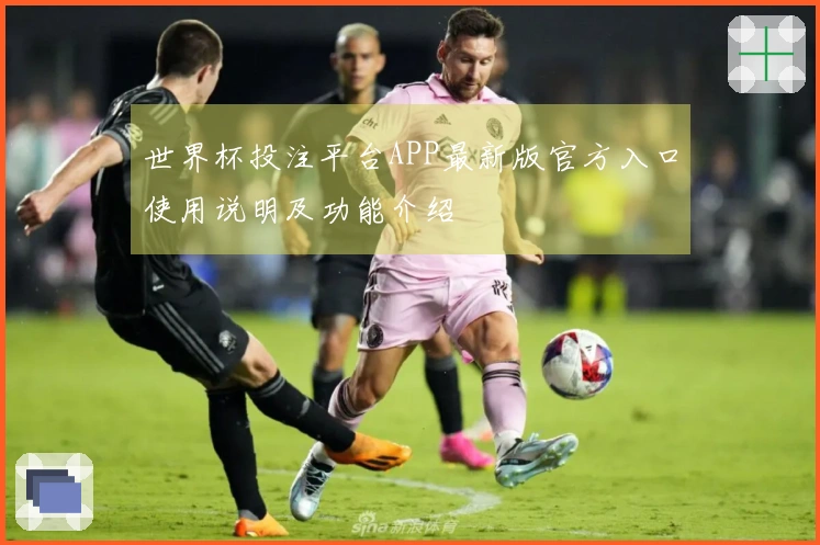 世界杯投注平台APP最新版官方入口使用说明及功能介绍