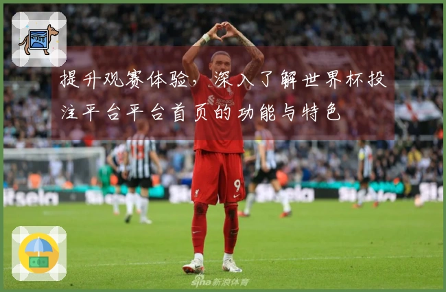 提升观赛体验,深入了解世界杯投注平台平台首页的功能与特色