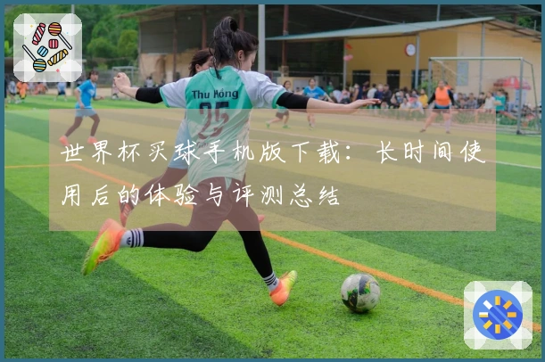 世界杯买球手机版下载：长时间使用后的体验与评测总结
