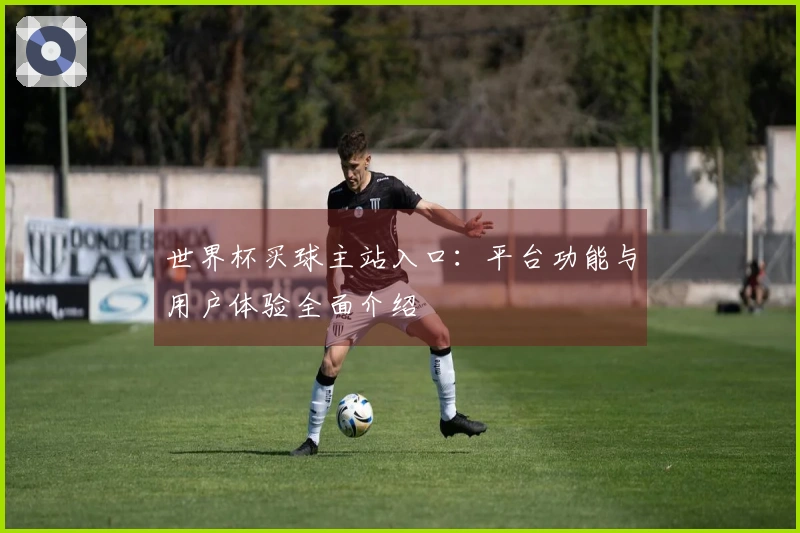 世界杯买球主站入口:平台功能与用户体验全面介绍