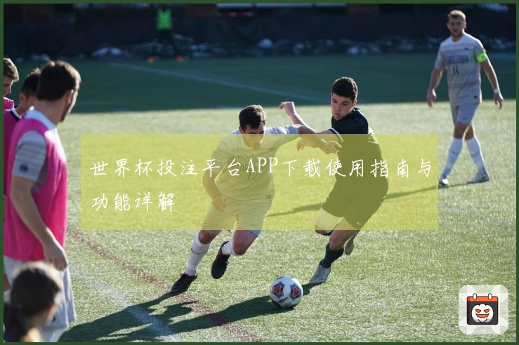 世界杯投注平台APP下载使用指南与功能详解