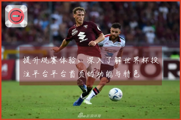 提升观赛体验，深入了解世界杯投注平台平台首页的功能与特色