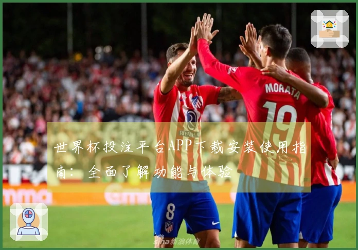 世界杯投注平台APP下载安装使用指南：全面了解功能与体验