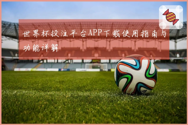 世界杯投注平台APP下载使用指南与功能详解