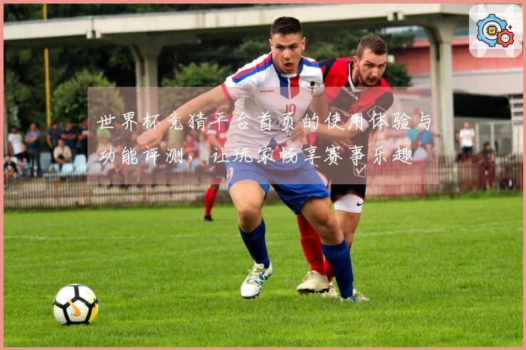 世界杯竞猜平台首页的使用体验与功能评测，让玩家畅享赛事乐趣