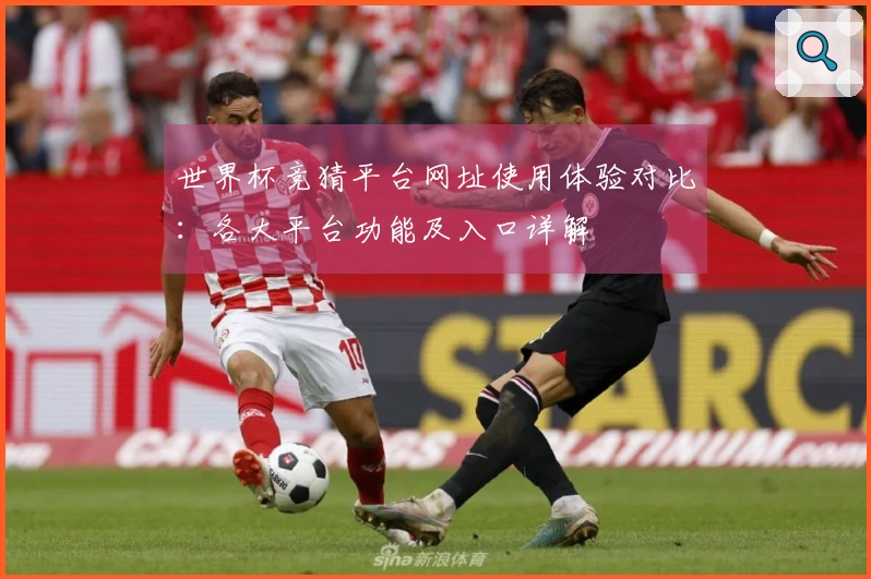 世界杯竞猜平台网址使用体验对比:各大平台功能及入口详解